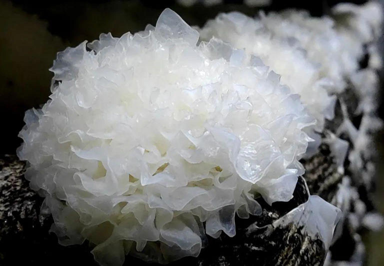 独占全球85%产量，坐拥280亿产值！它凭啥→