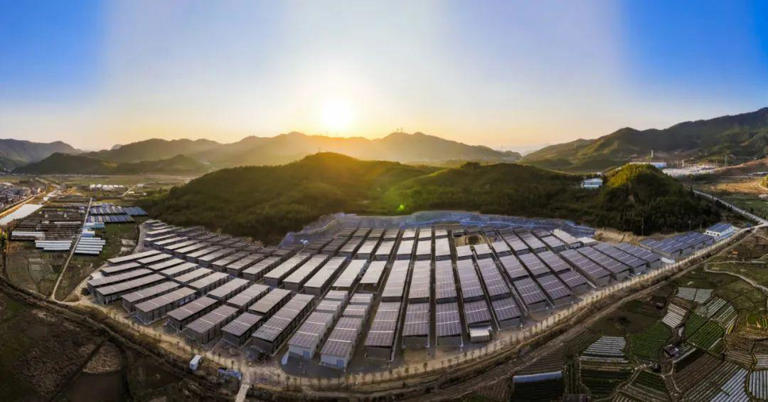 独占全球85%产量，坐拥280亿产值！它凭啥→