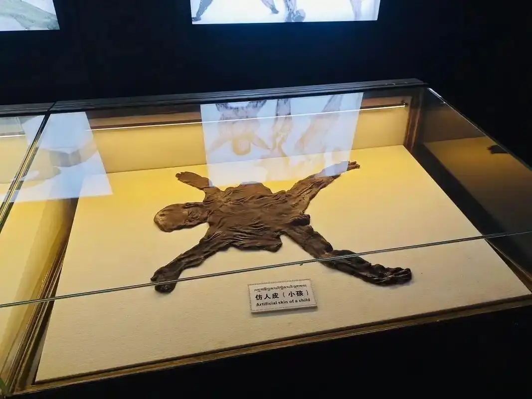 内容图片