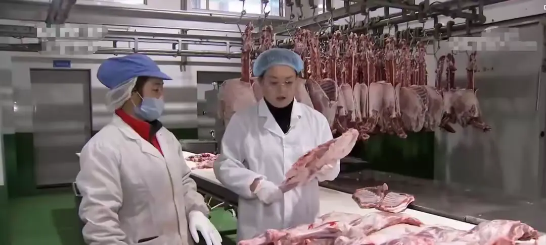 内容图片