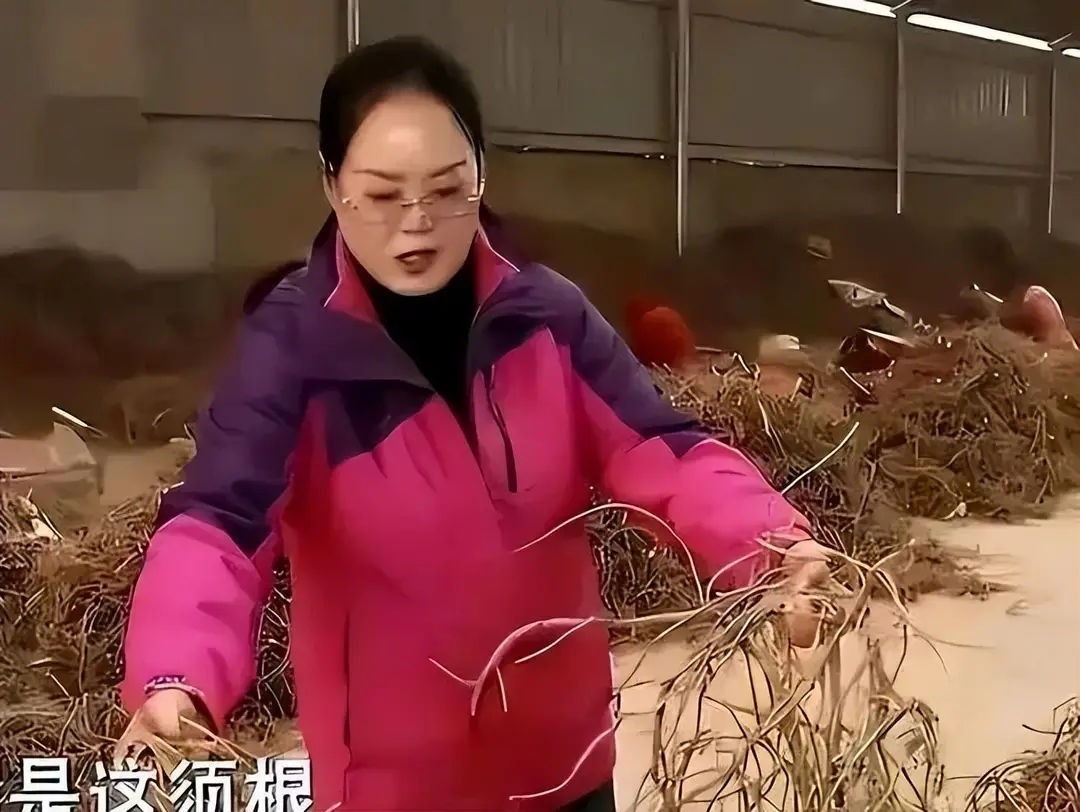 内容图片