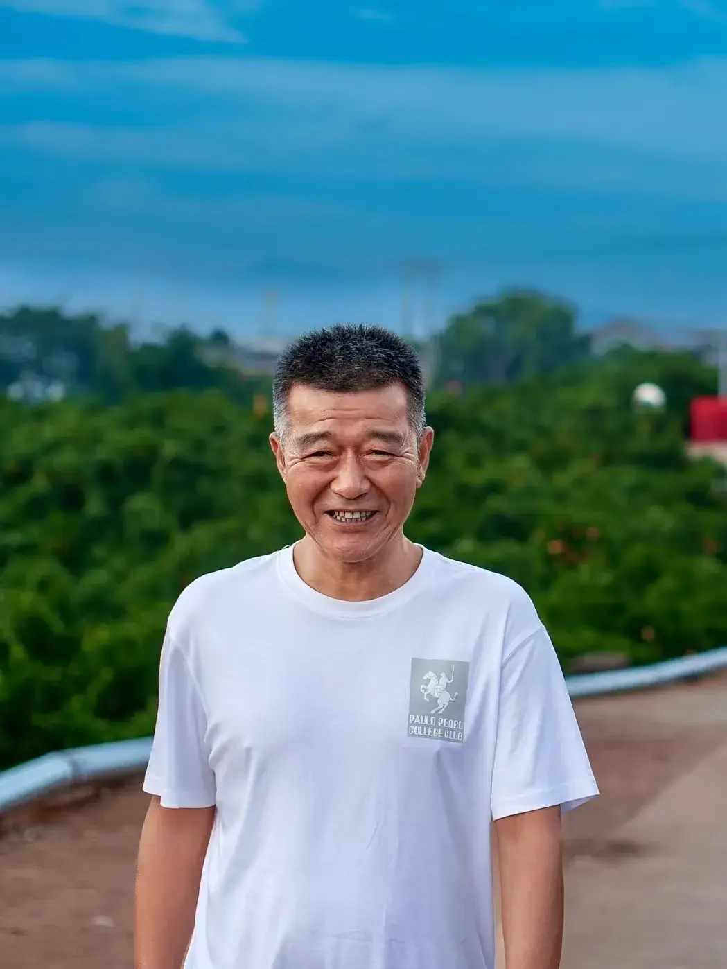 内容图片