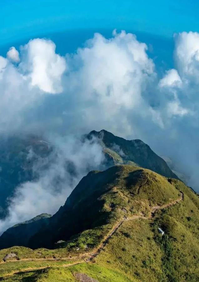 这里比佛山好吃，比江门更有电影感，是广东最松弛的小城！