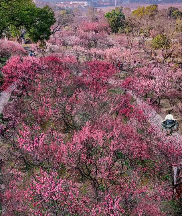 江苏最有钱的城市，不是苏州南京，而是这个低调的城市，你去过吗