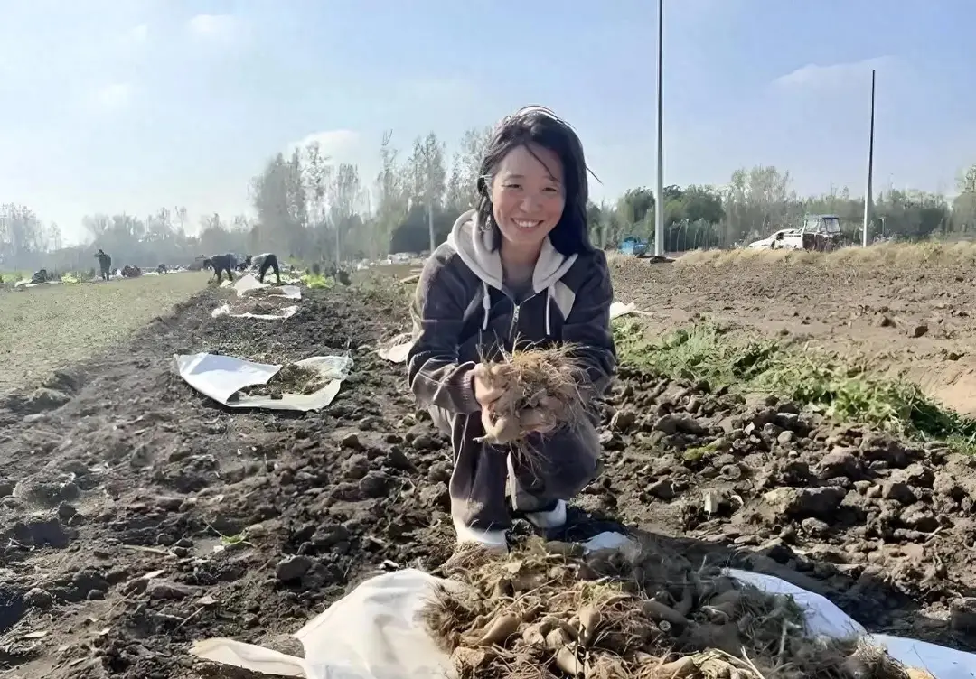 内容图片