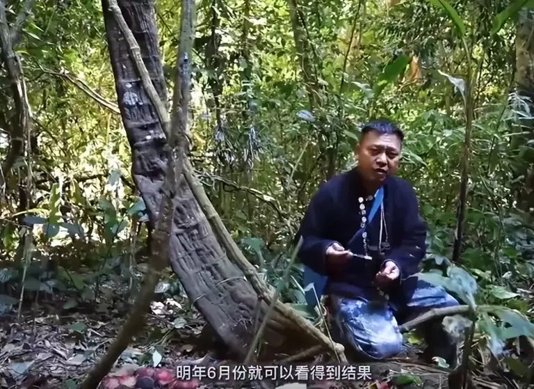 曾以为已经绝迹！消失30年后又重现云南，至今不能人工繁殖