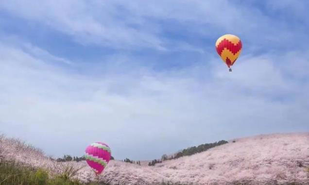 适合2-5月“赏花”的十个最美旅行地，争取一年去一个！