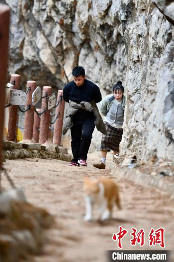 四川昔日绝壁骡马道今成游客观光路