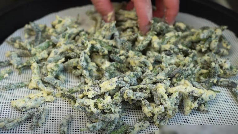 春天使劲吃它，一年只能吃一次，比荠菜营养，可惜很多人没吃过！