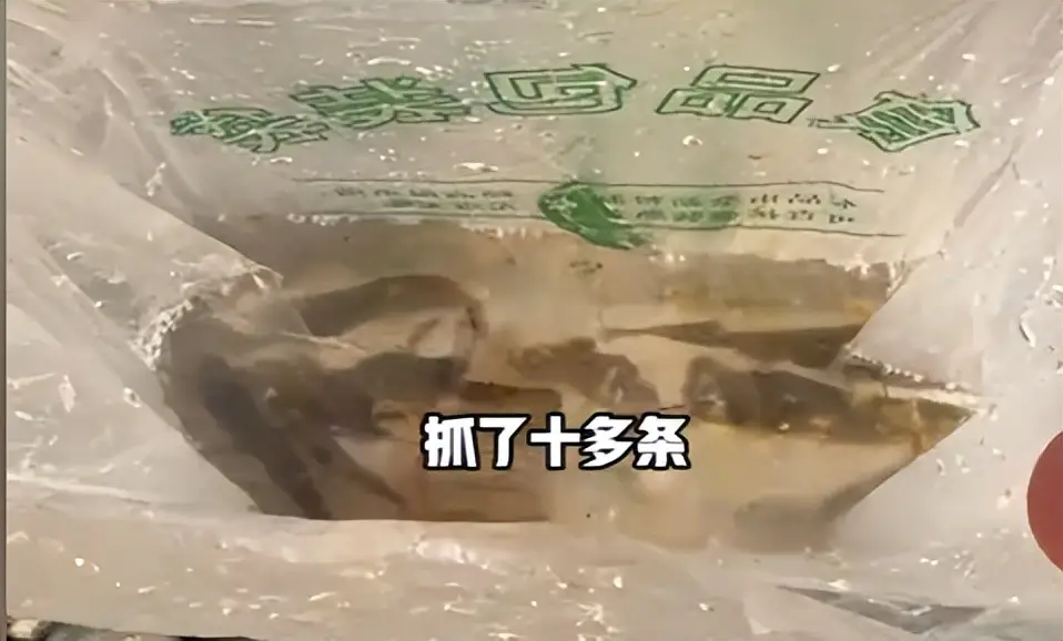 内容图片