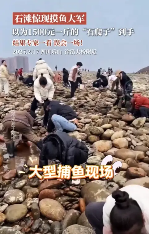 内容图片