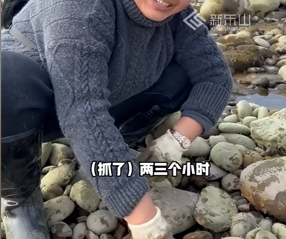 内容图片