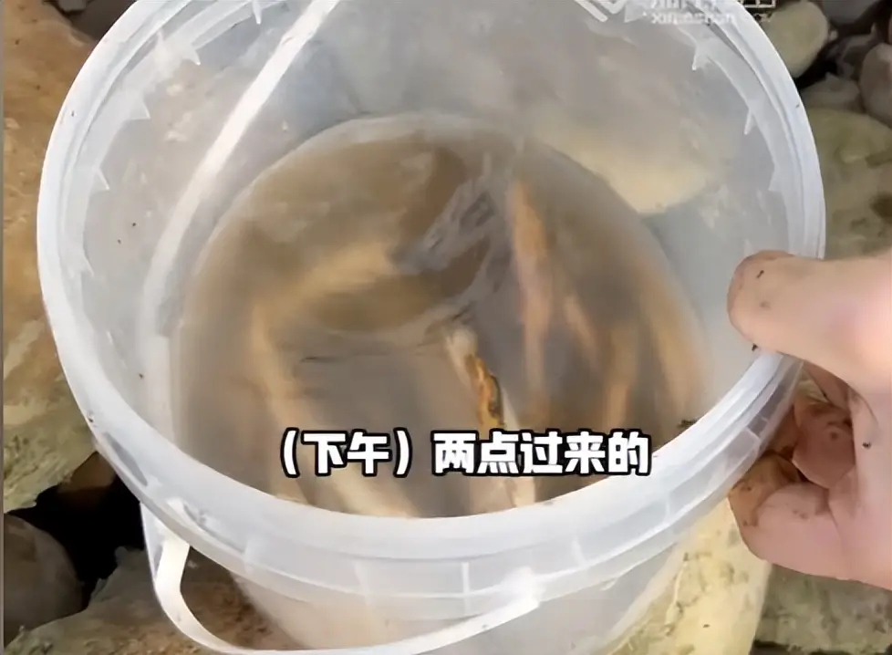 内容图片