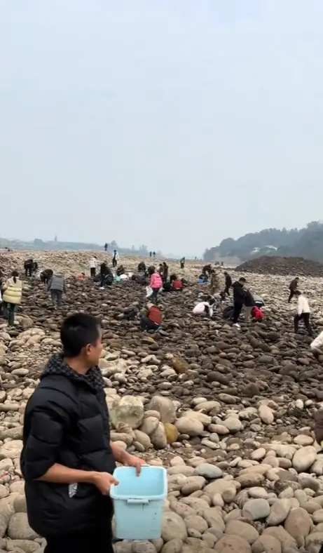 内容图片