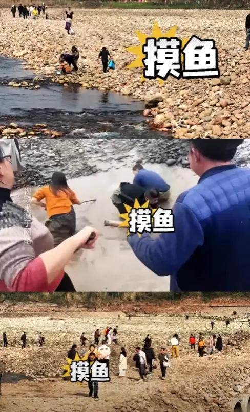 内容图片