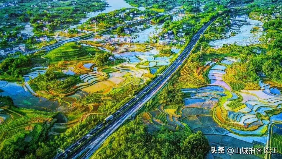 内容图片