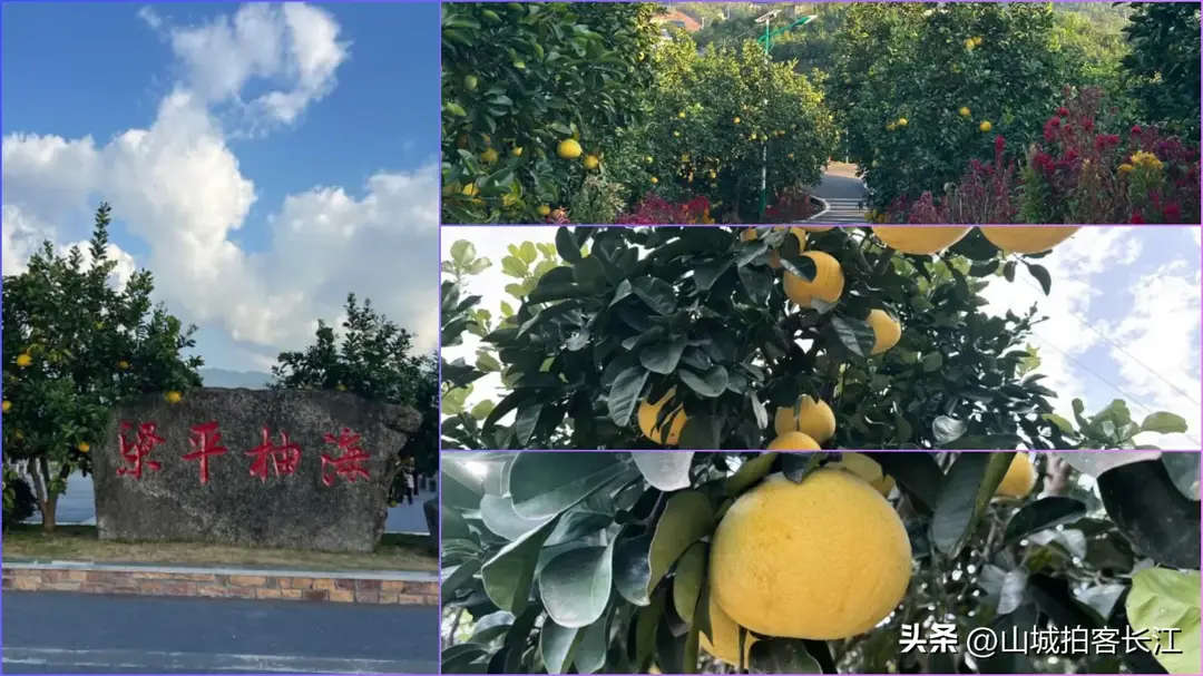内容图片