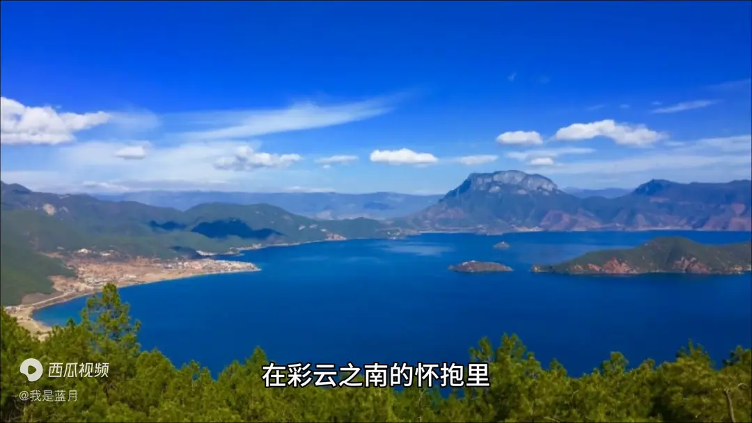内容图片
