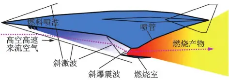 内容图片