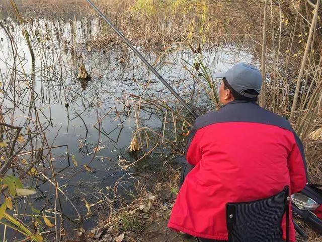 江苏一小藕塘，上百人垂钓就像“十面埋伏”！抽水效果不是更好？