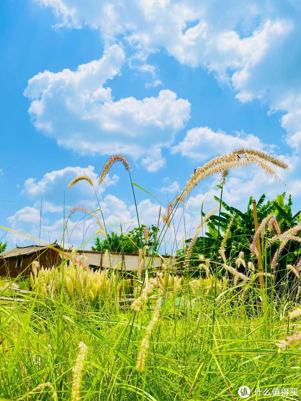 昆明最美古村落——卧龙古渔村