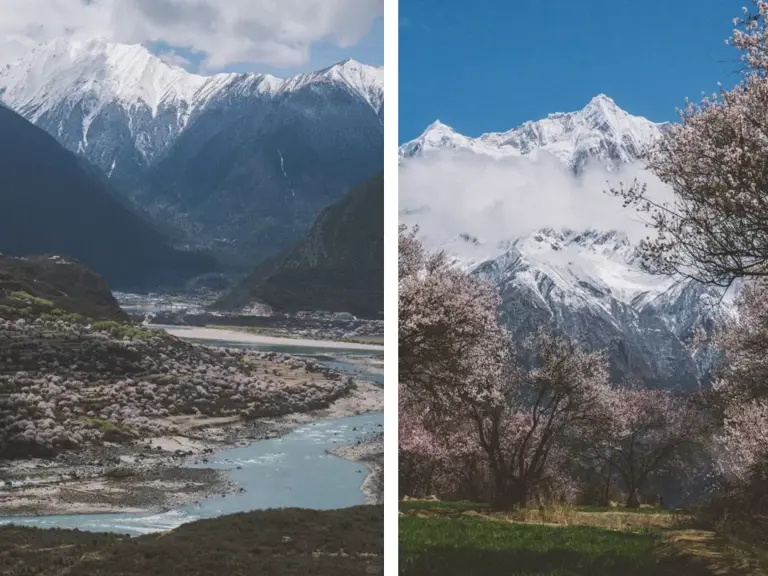 惊艳3月的旅行地榜单丨比京都浪漫，比苏杭温柔，这些地方藏着全国最盛大的春天！