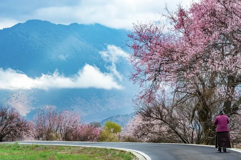 惊艳3月的旅行地榜单丨比京都浪漫，比苏杭温柔，这些地方藏着全国最盛大的春天！