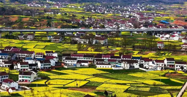 惊艳3月的旅行地榜单丨比京都浪漫，比苏杭温柔，这些地方藏着全国最盛大的春天！