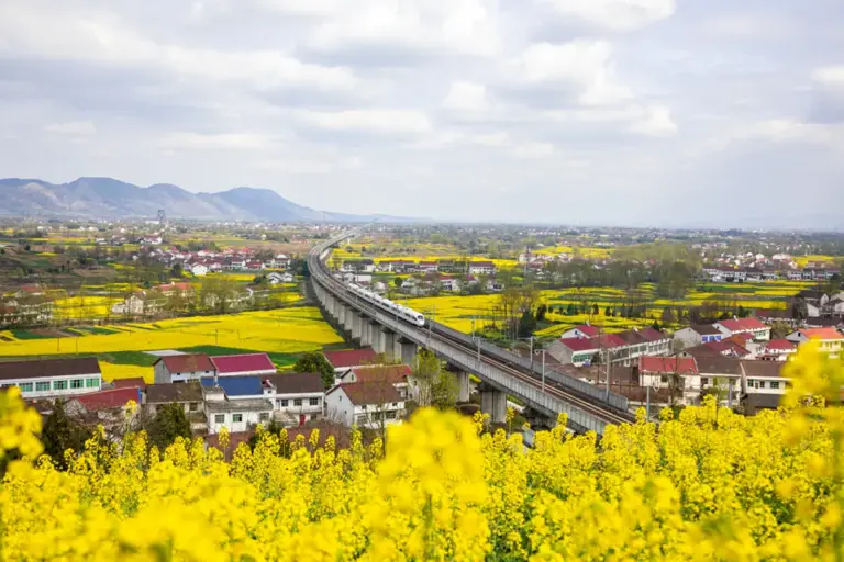 惊艳3月的旅行地榜单丨比京都浪漫，比苏杭温柔，这些地方藏着全国最盛大的春天！