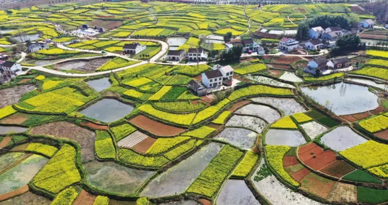 惊艳3月的旅行地榜单丨比京都浪漫，比苏杭温柔，这些地方藏着全国最盛大的春天！