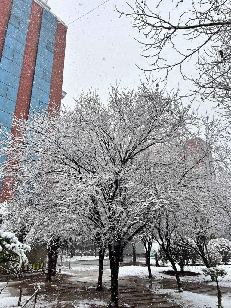 花式反转！河南纯雪过后直冲18℃→