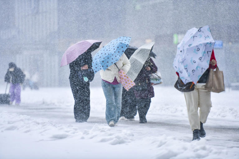 第1现场｜山东暴雪！济南市民机场返程两小时仅行十公里