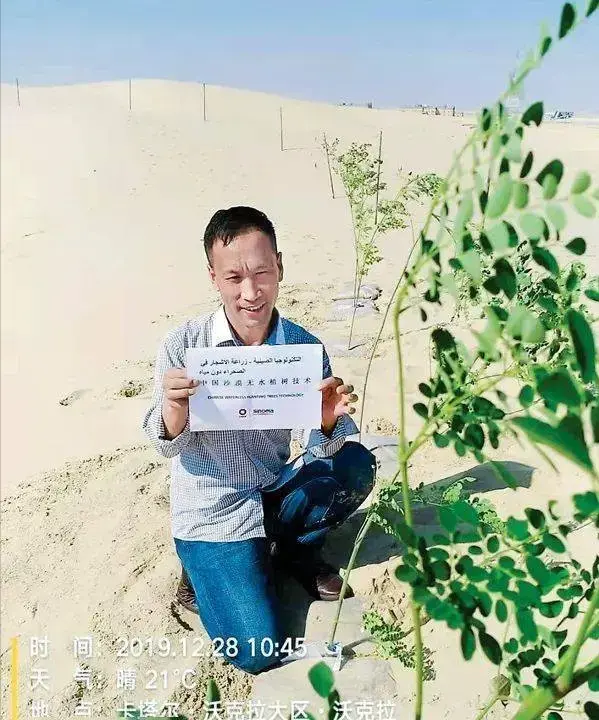 山西农民发明“沙漠无水植树”,仅用1个塑料袋,5年拿专利证书 山西农民发明“沙漠无水植树”,仅用1个塑料袋,5年拿专利证书
