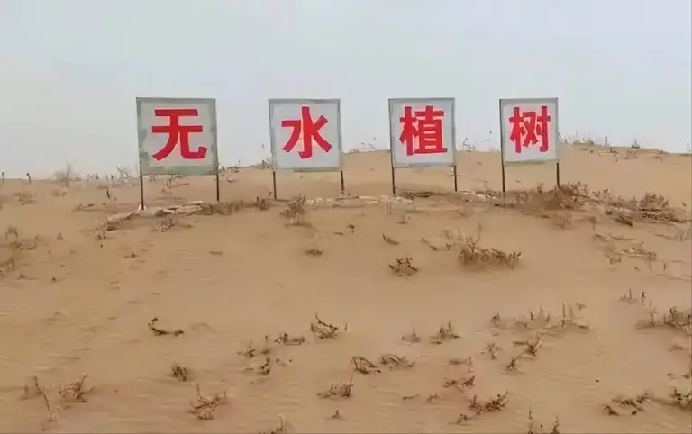 山西农民发明“沙漠无水植树”,仅用1个塑料袋,5年拿专利证书 山西农民发明“沙漠无水植树”,仅用1个塑料袋,5年拿专利证书
