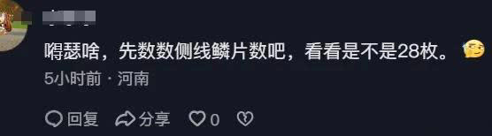 山东男子钓获9.7斤大板鲫狂喜，网友：先数侧线鳞！
