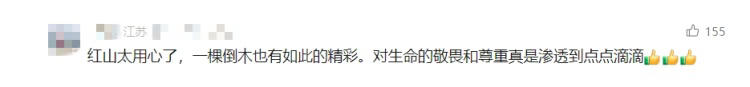 南京红山动物园，一棵倒下的树火了又火