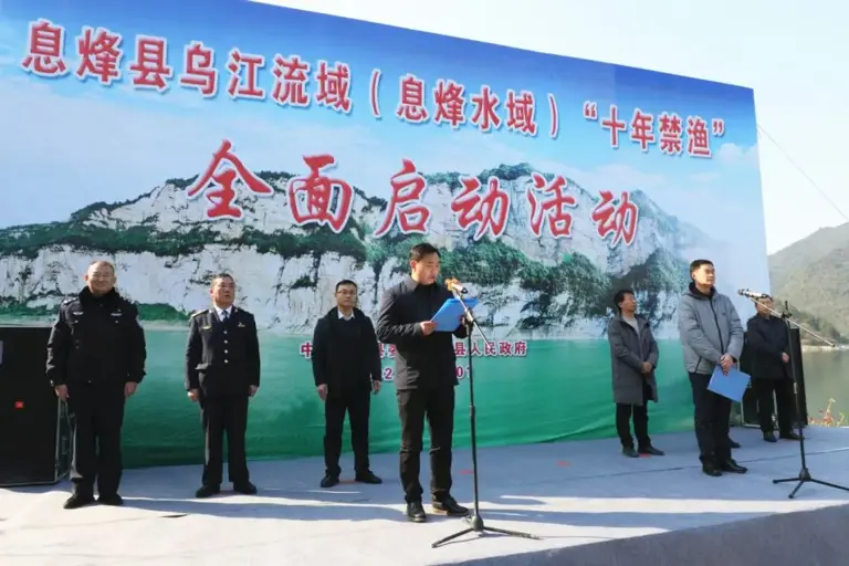 长江鲟绝地求生记：禁渔四年多，已在野外产卵，它们能复活成功吗