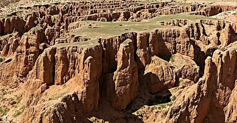 上世纪90年代，日本专家断言的不毛之地，当地人30年种180万棵树