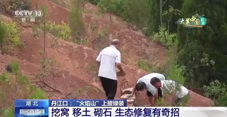 上世纪90年代，日本专家断言的不毛之地，当地人30年种180万棵树
