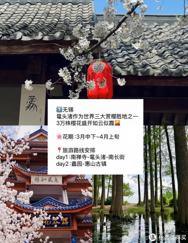 赏花慢游 适合3-4月春天旅游的城市 赏花慢游 适合3-4月春天旅游的城市