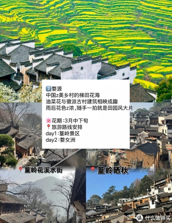 赏花慢游 适合3-4月春天旅游的城市 赏花慢游 适合3-4月春天旅游的城市