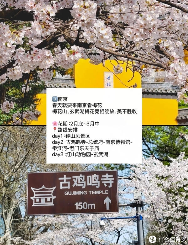 赏花慢游 适合3-4月春天旅游的城市 赏花慢游 适合3-4月春天旅游的城市