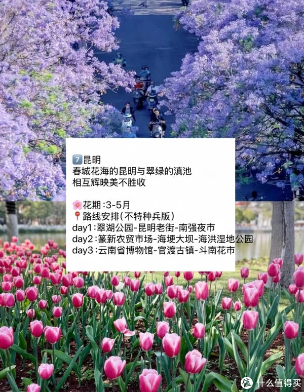 赏花慢游 适合3-4月春天旅游的城市 赏花慢游 适合3-4月春天旅游的城市