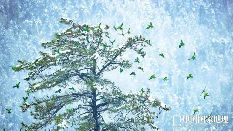 地理冷知识——中国各地动物秘境 地理冷知识——中国各地动物秘境