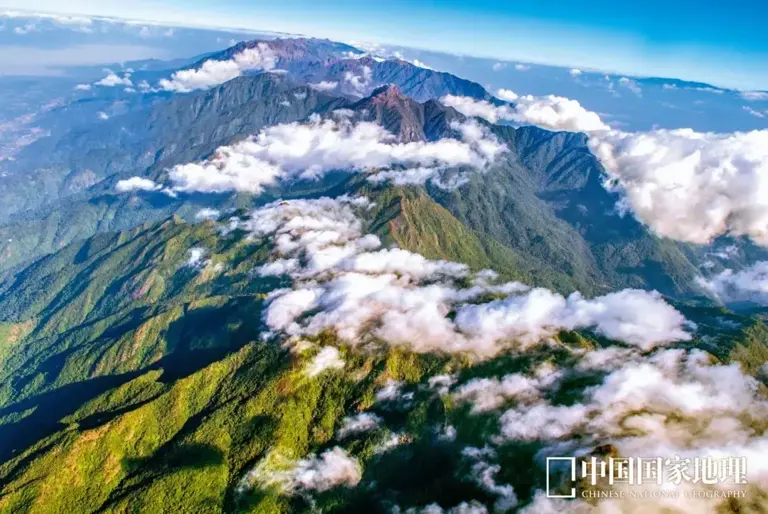 地理冷知识——中国各地动物秘境 地理冷知识——中国各地动物秘境