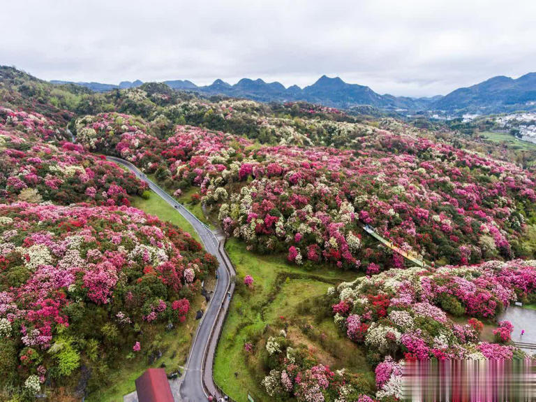 中国最美春天，这才是春天最美的15个地方