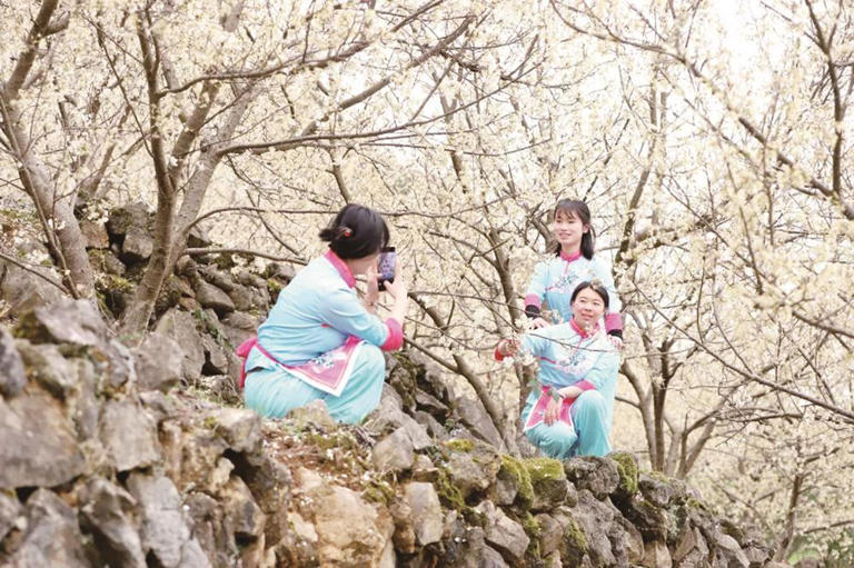 梵净山西线， 这边“春山”风景独好