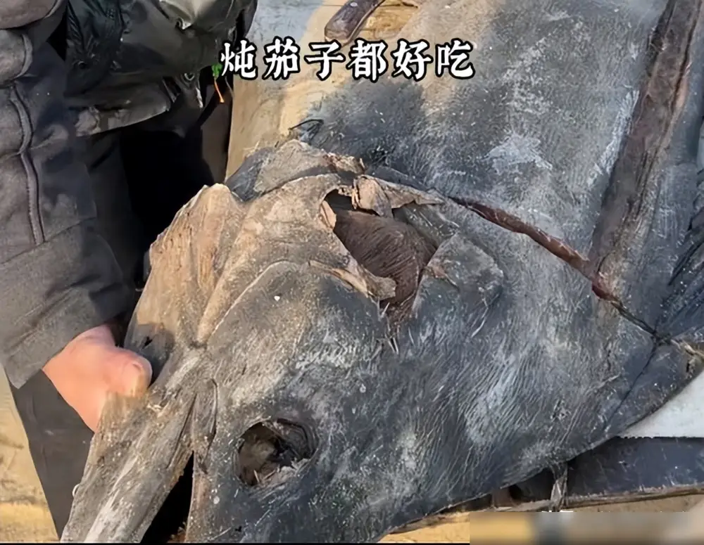 内容图片
