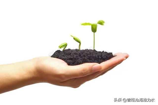 内容图片