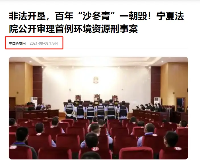 内容图片